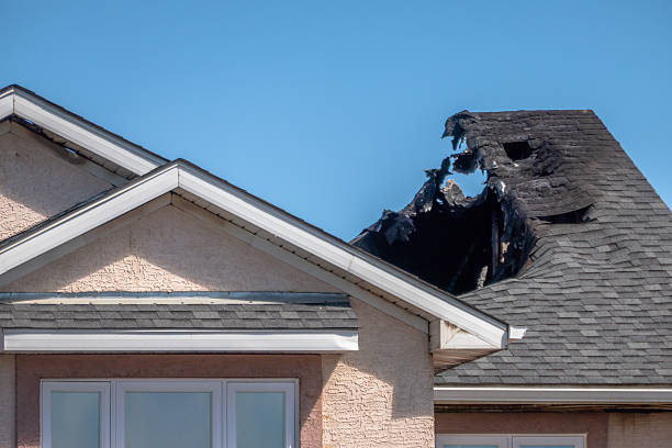 Top rated local Content Restoration specialists in Gilbert, MN